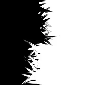 test_fm