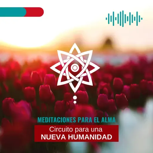 Meditación: Circuito para una nueva humanidad / Febrero 01 de 2022