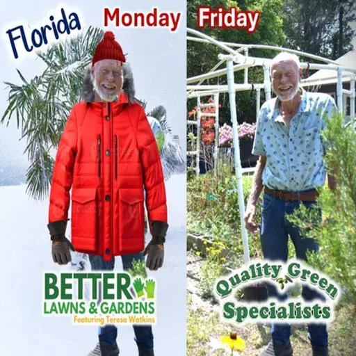 S2 Ep399: Better Lawns and Gardens - Hour 1 Earliest Winter Chill for Fall November 8, 2025