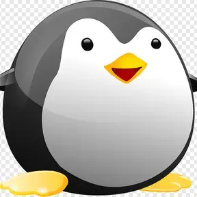 Radio tux