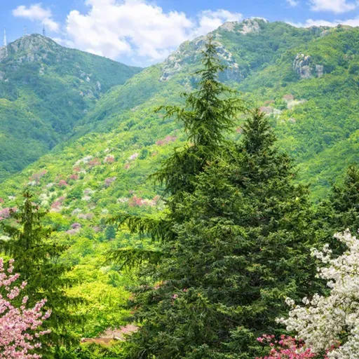 LIDO OBLIO 020 - Livio Improta invites Davide Lallo