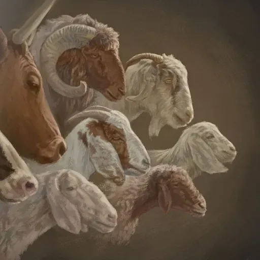 TEACHING BOX 13A—Different Temples, Different Lessons