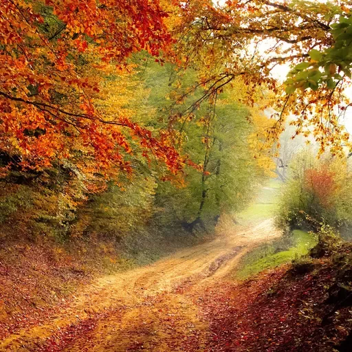 Виктор и Зинаида Чижиковы