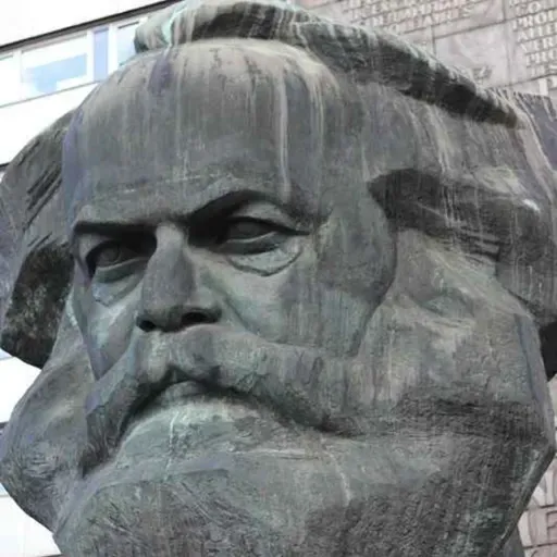 Socialismo panaceia