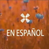 DAB En Español July 3, 2026
