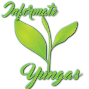 Informate Yungas