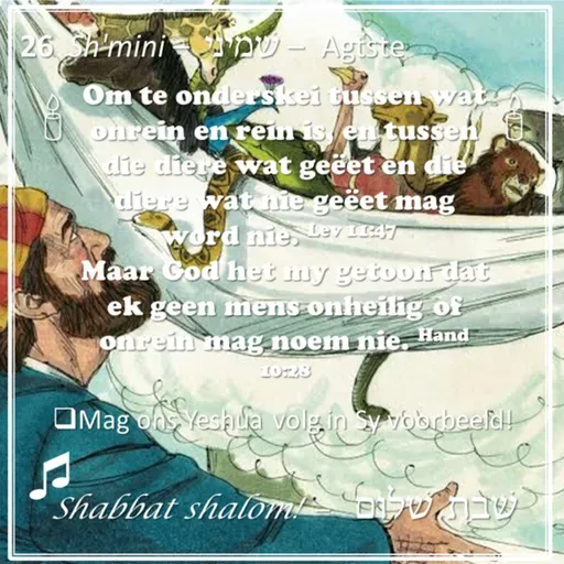 Parashat Sh'mini