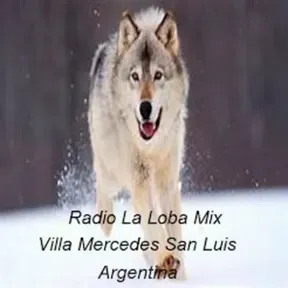 Radio La Loba Mix