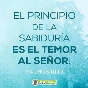 RADIO CRITO VIVE