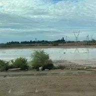 REACCIÓN EN CADENA T08C004 La ciencia detrás de las emergencias (22/10/2025)