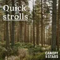 Quick Strolls: Slowing Down