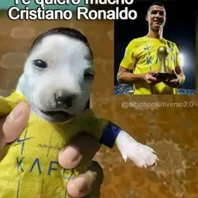 Mala droga