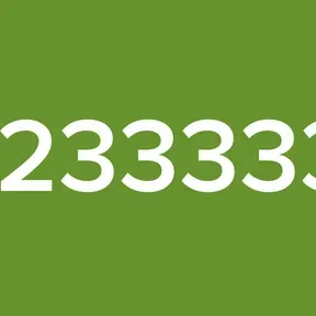 1233333