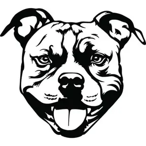 alpha fm