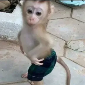 Radiokkjj