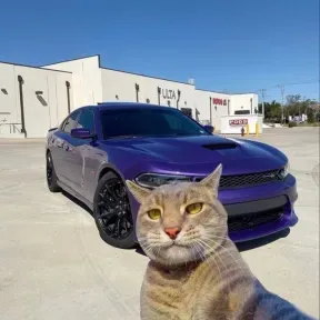 Solo salsa