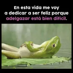 Tu mejor opción