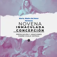 5to día de la novena