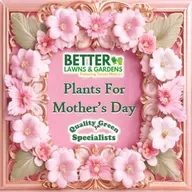 S2 Ep446: Better Lawns and Gardens - Hour 1 Plants for Mother's Day May 2, 2026