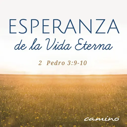 Oración 20 de noviembre (Esperanza de la Vida Eterna)