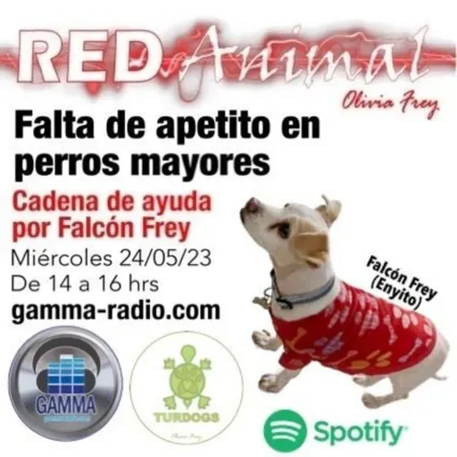 RED ANIMAL CON OLIVIA FREY/FALTA DE APETITO EN PERROS MAYORES