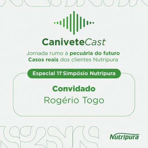 ROGÉRIO TOGO: BUSCANDO CONHECIMENTO PARA UM AGRO RENTÁVEL