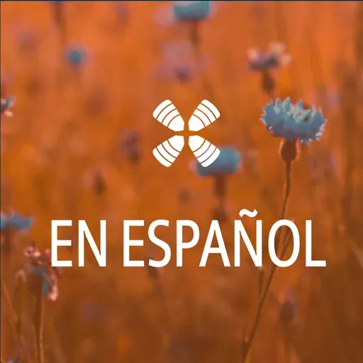 DAB En Español June 29, 2026
