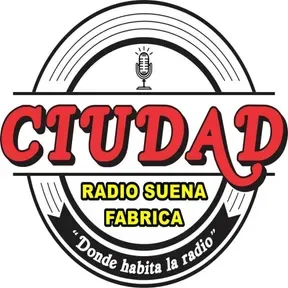 el ciudadano carlos paz