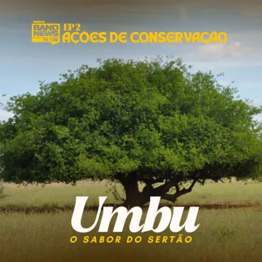 Umbu: o sabor do Sertão | EP 2 - Ações de Conservação