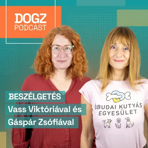 Így lesz a póráz kommunikációs eszköz a kezedben