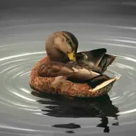 Сила доброты