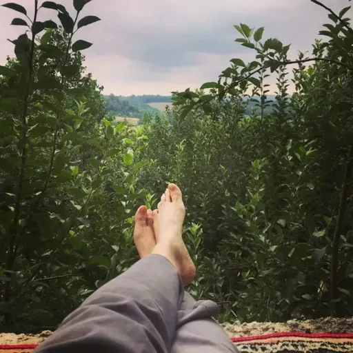 وقفه‌‌ه‌ه