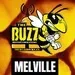 The Buzz Melville