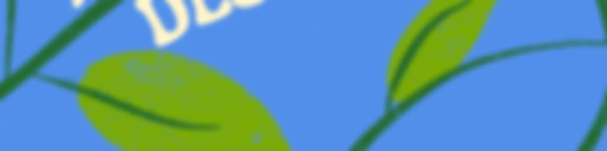 À Partida, Desculpa