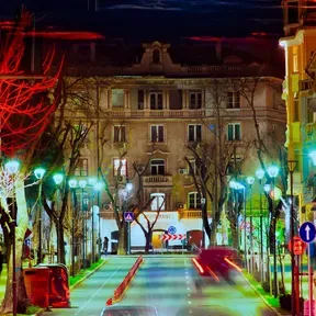 Шишкова градинка
