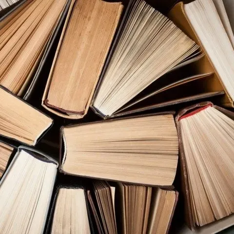 Ana Paula Tavares, Prémio Camões 2025