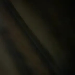 DAvROX