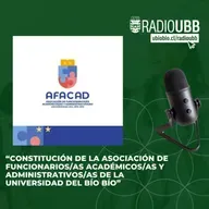 Asociación de Funcionarios/as Académicos/as y Administrativos/as de la Universidad del Bío Bío, AFACAD-UBB