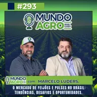 EP293 MAP “O Mercado de Feijões e Pulses no Brasil: Tendências, desafios e oportunidades com Marcelo Lüders”