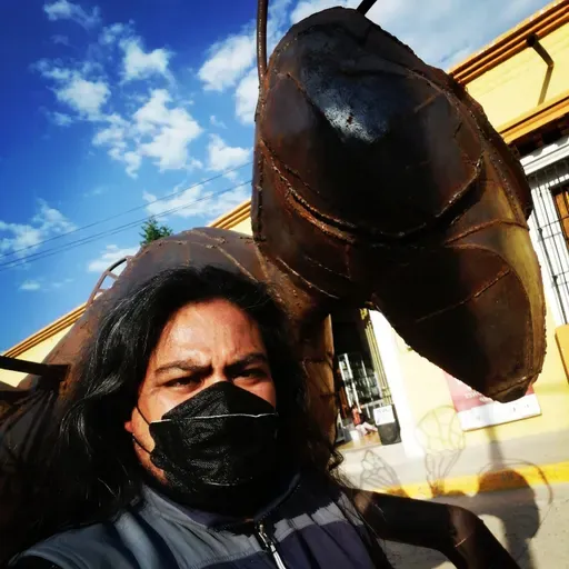 Una abeja, la cultura, y los cultos.