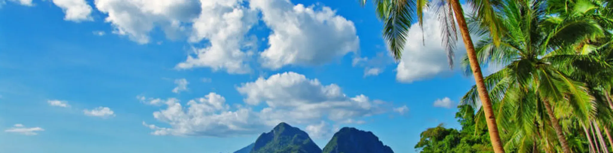 Tropical los toldos
