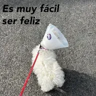 Ejercicio y ser constante, enfoque en el trabajo y mandarlo a la verga cuando salgas, pequeñas cosas de la vida que me hacen feliz, película viejita pero buena, disfruta el fin de semana.