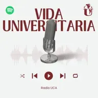 Contaduría pública e Ingeniería en sistemas