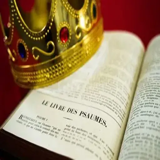 SOM 30 : MESI BONDYE