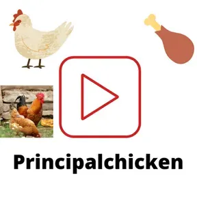 Principalchicken