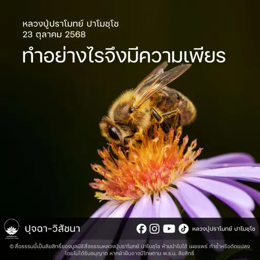 [คลิปสั้น] ทำอย่างไรจึงมีความเพียร หลวงปู่ปราโมทย์ ปาโมชฺโช 23 ต.ค.68 (681023)