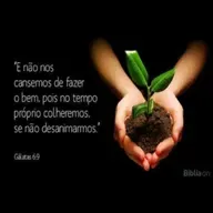 Não se canse de fazer o bem!


