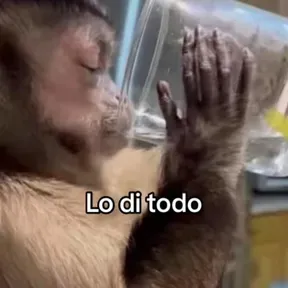De lo mejor