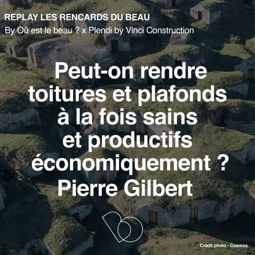 [Hors Série] 🎤 Peut-on rendre toitures et plafonds à la fois sains et productifs économiquement ? avec Pierre Gilbert