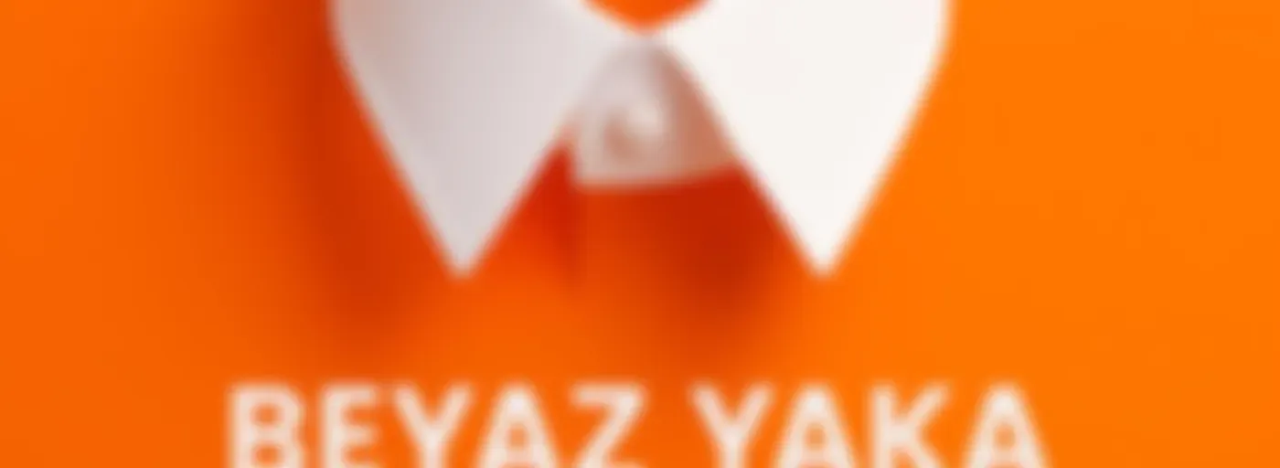 Beyaz Yaka Günlükleri